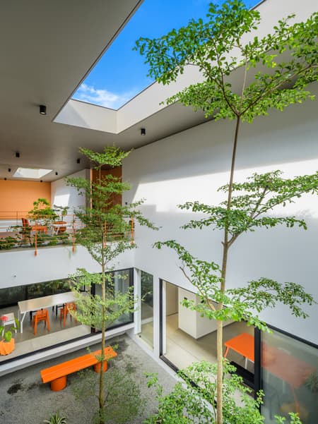 The Colour Burst House
